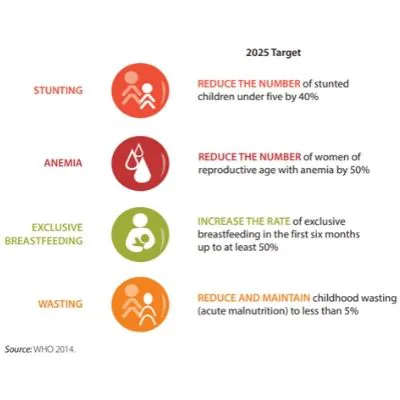 Global Nutrition Targets Tracking Tool