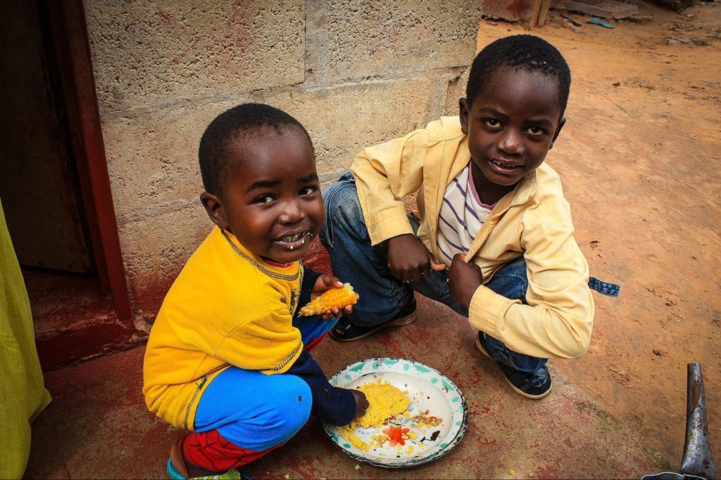 In Zambia, USAID's Feed the Future works to reduce hunger and malnutrition through vitamin A fortified maize and orange fleshed sweet potatoes. Photo: Chando Mapoma, USAID